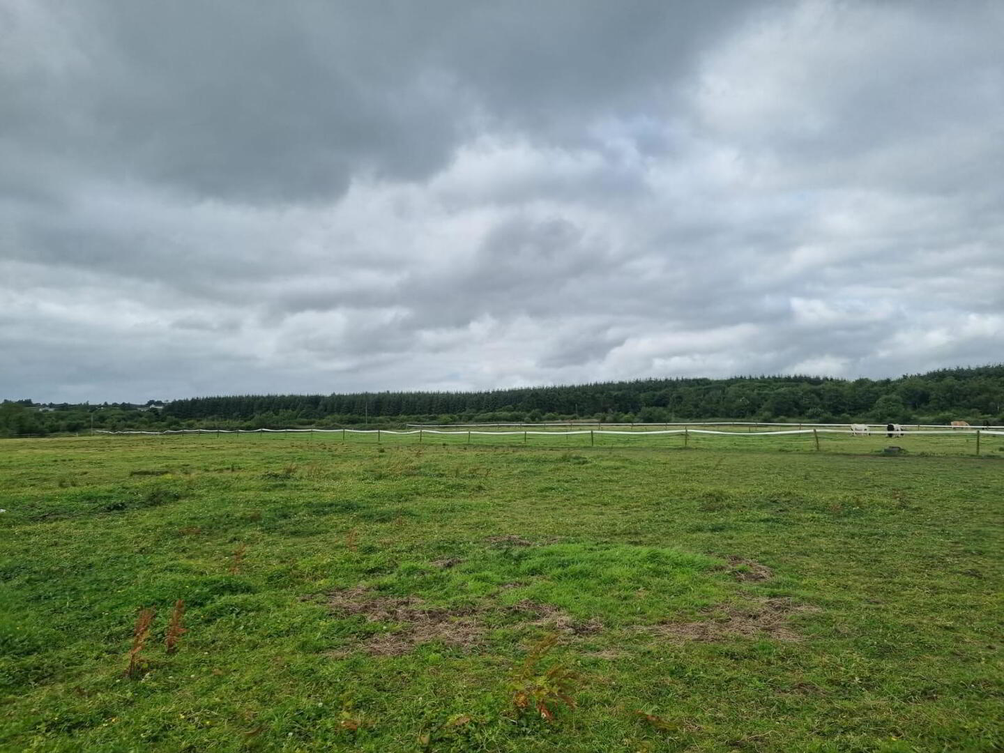 Whitethorn Equestrian Centre 28 of 33
