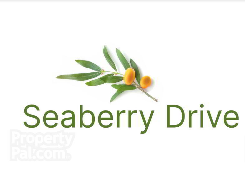 Seaberry Drive