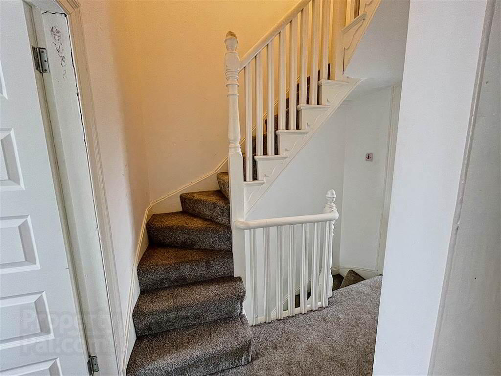 427 Springfield Road 12 of 18