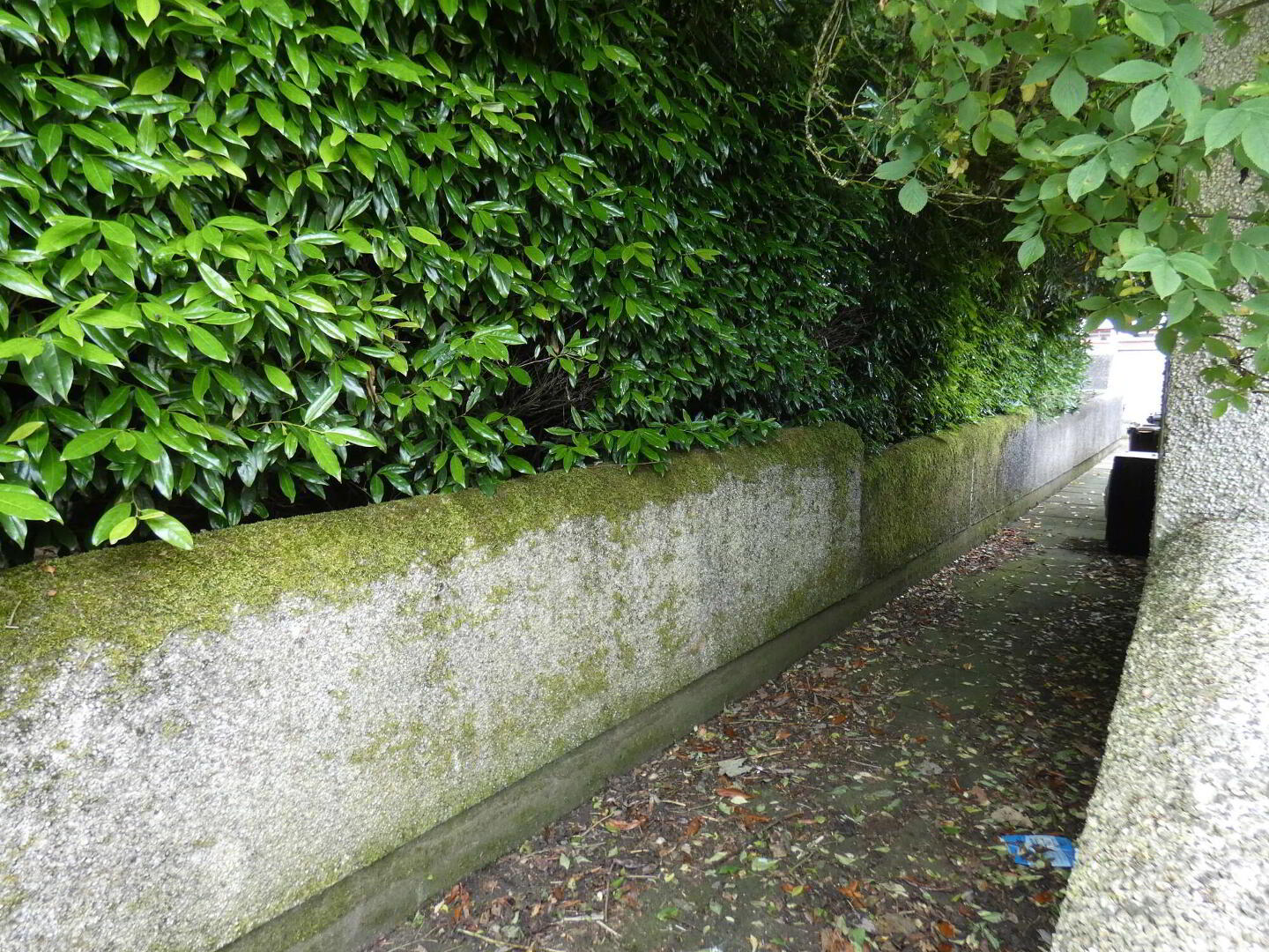 7 Braddan Place ( Mill Road ) 22 of 22
