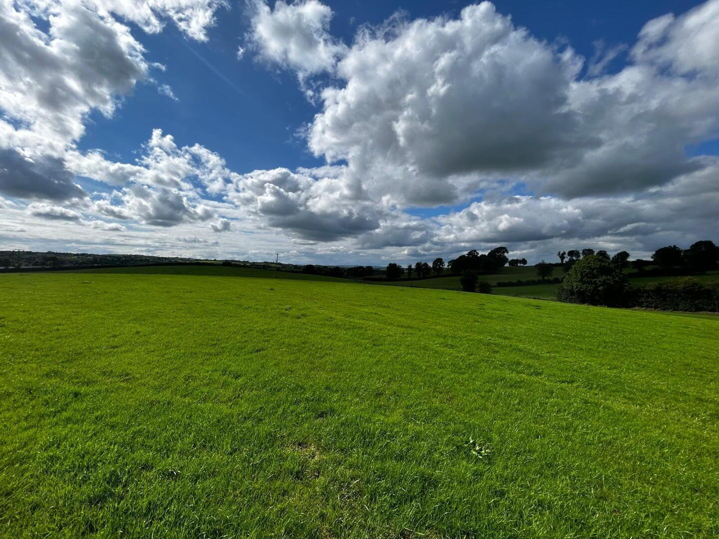 168 Newtownsaville Road 11 of 42
