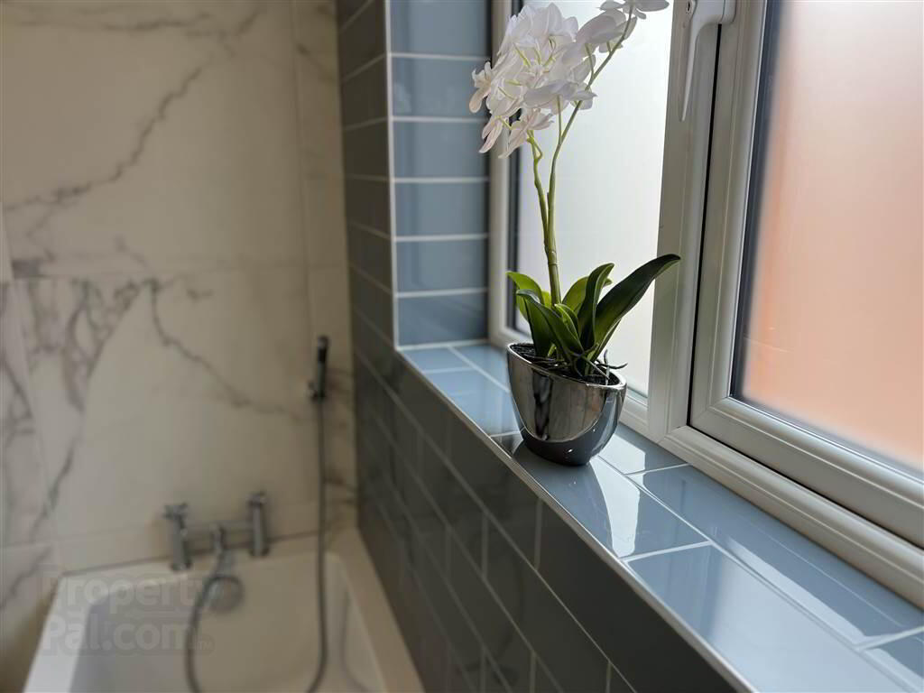 64 Dromore Street 16 of 17