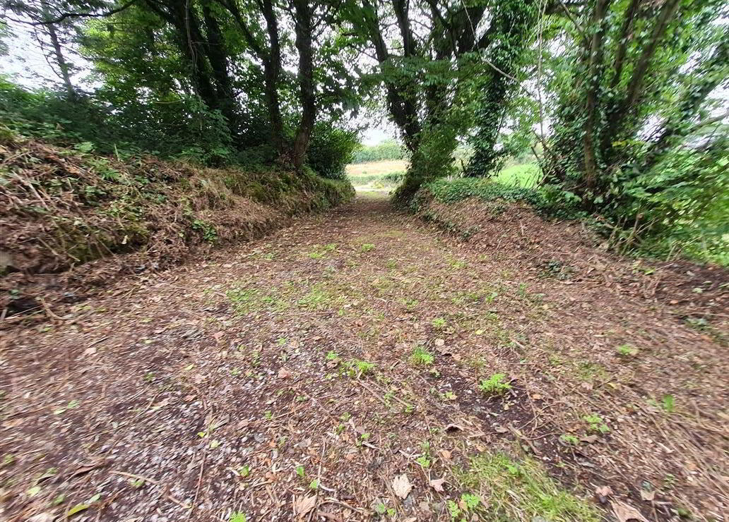 Aughrim Beg 11 of 19
