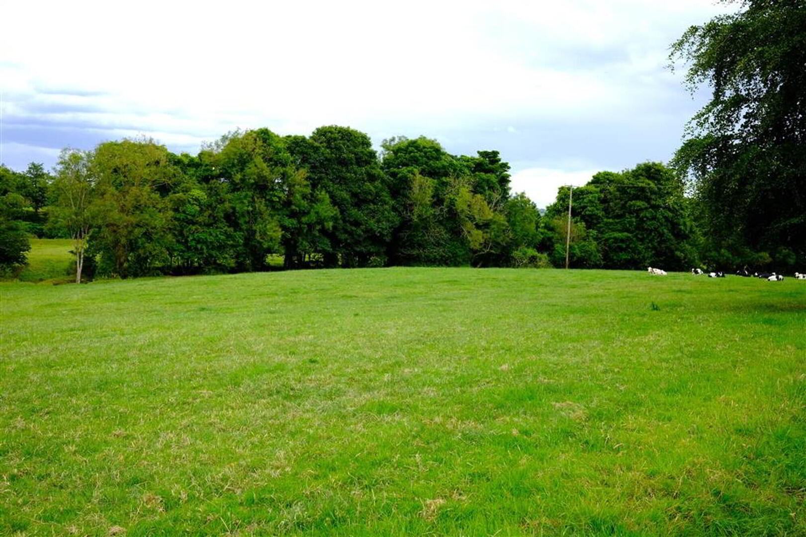 APPROXIMATELY 21 ACRES OF LAND, Adjoing, 27 Lambeg Road