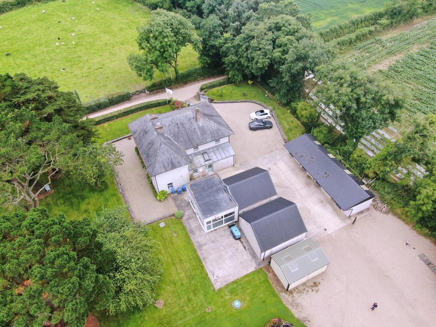Grove Farm 35 of 50