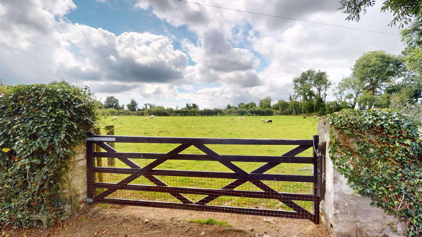 Grove Farm 47 of 50