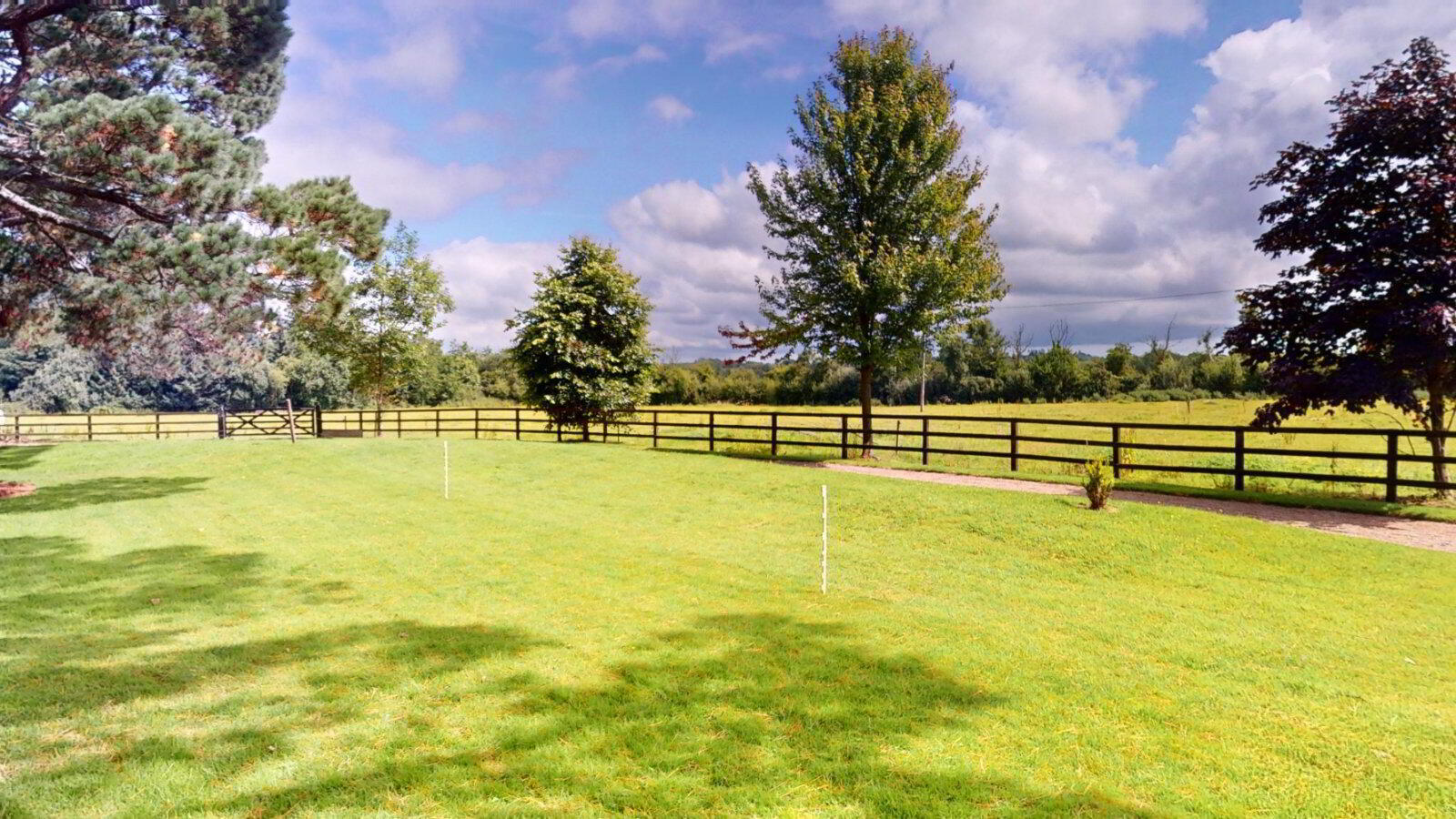 Grove Farm 48 of 50