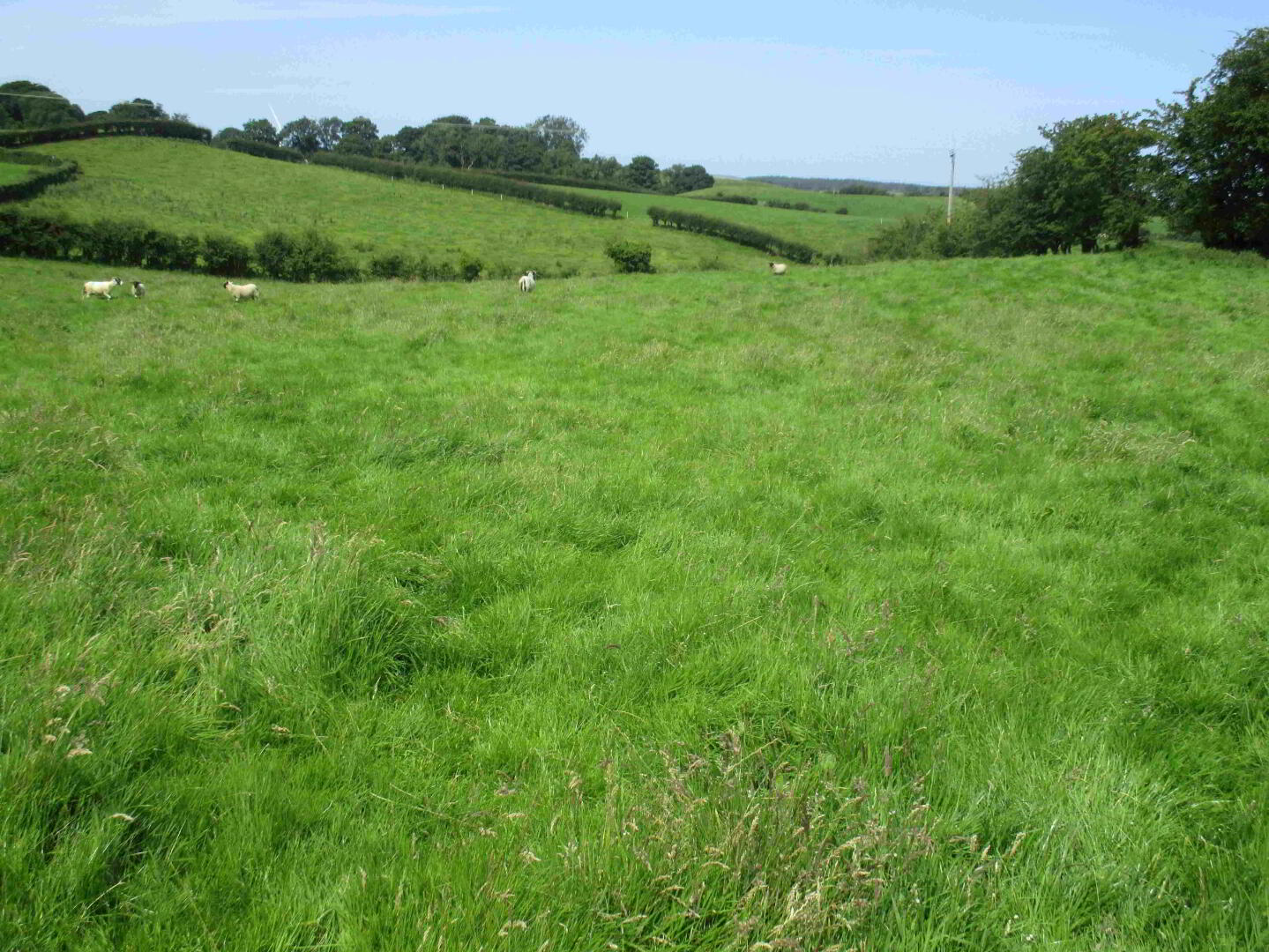 'Cloughanmurry', Hillside Road 8 of 10
