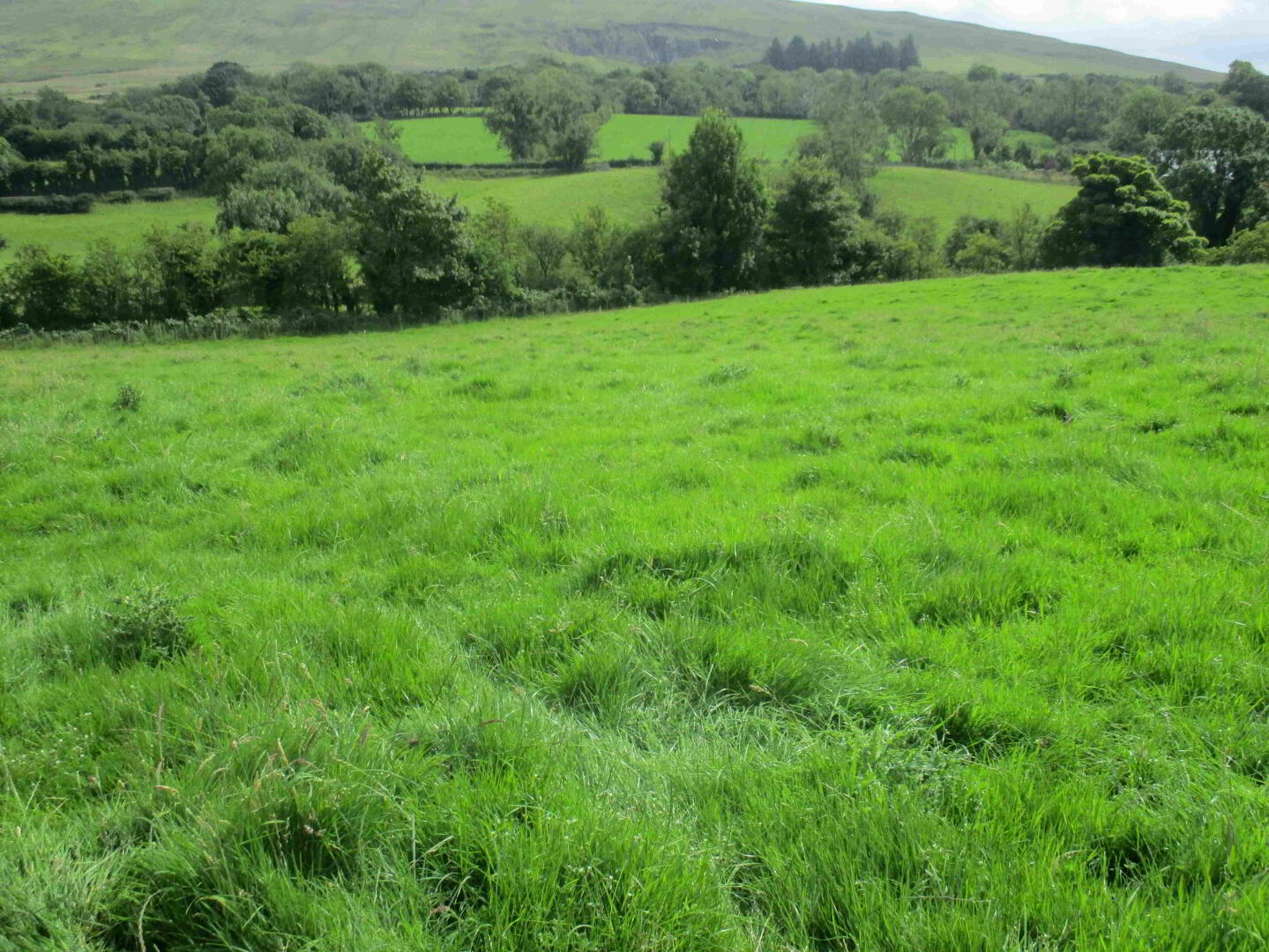 'Cloughanmurry', Hillside Road 9 of 10