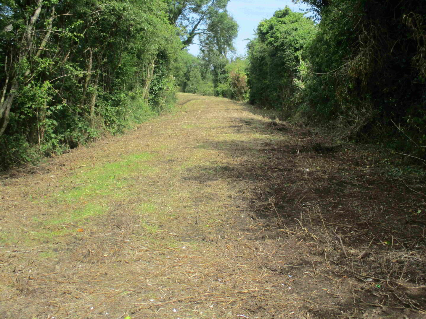 'Cloughanmurry', Hillside Road 10 of 10