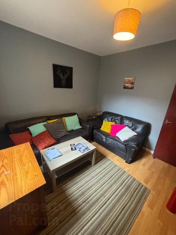 86 Edinburgh Street 4 of 10
