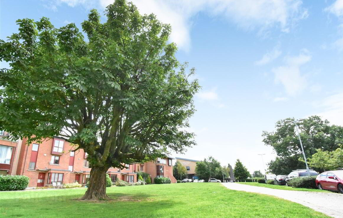 17 Castlegate Copse 14 of 15