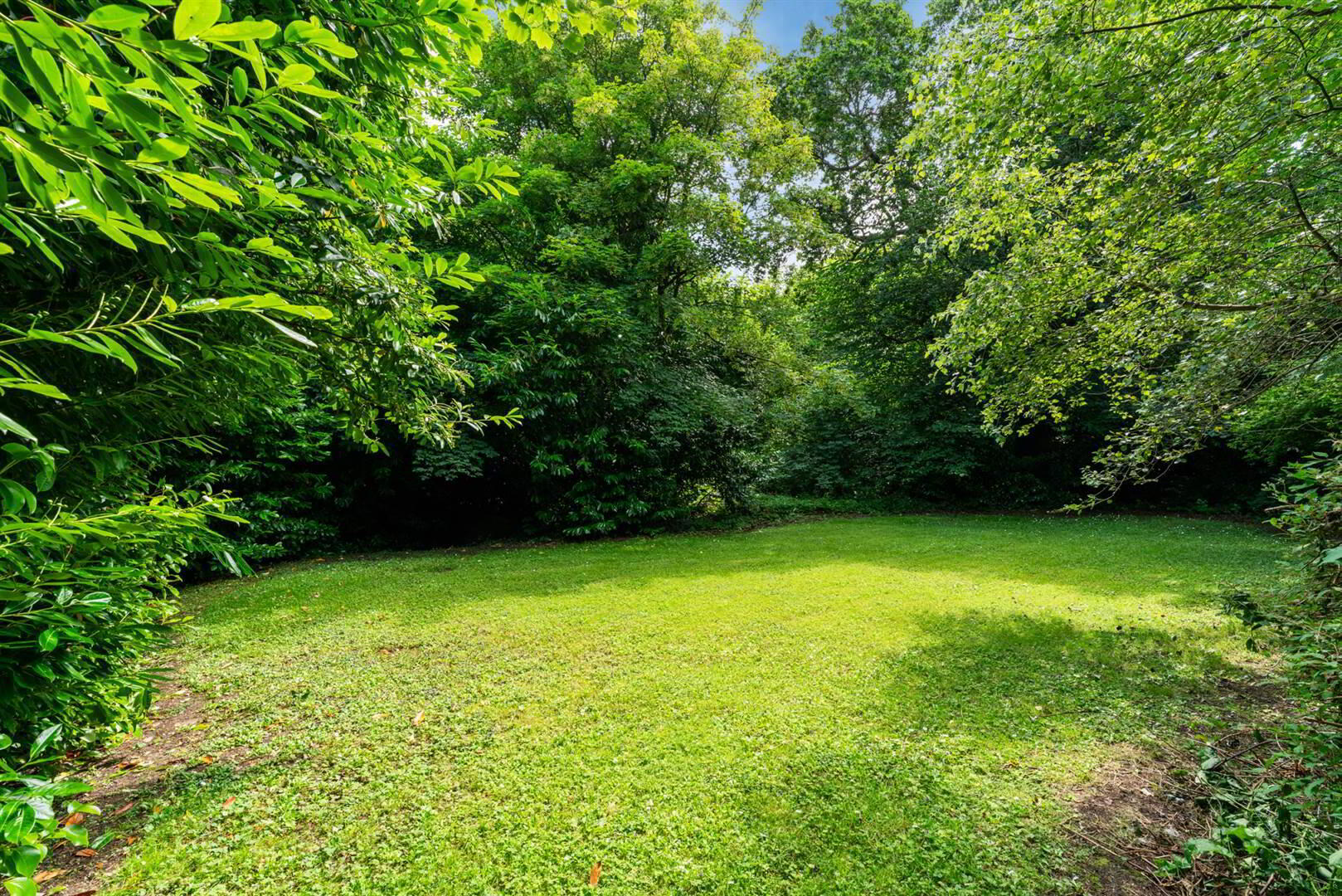 4 Bennet Wood 15 of 16