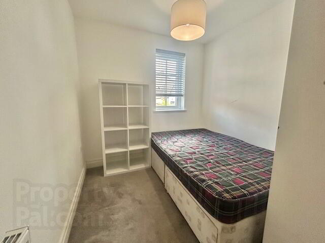 38 Beech Hill View 15 of 16
