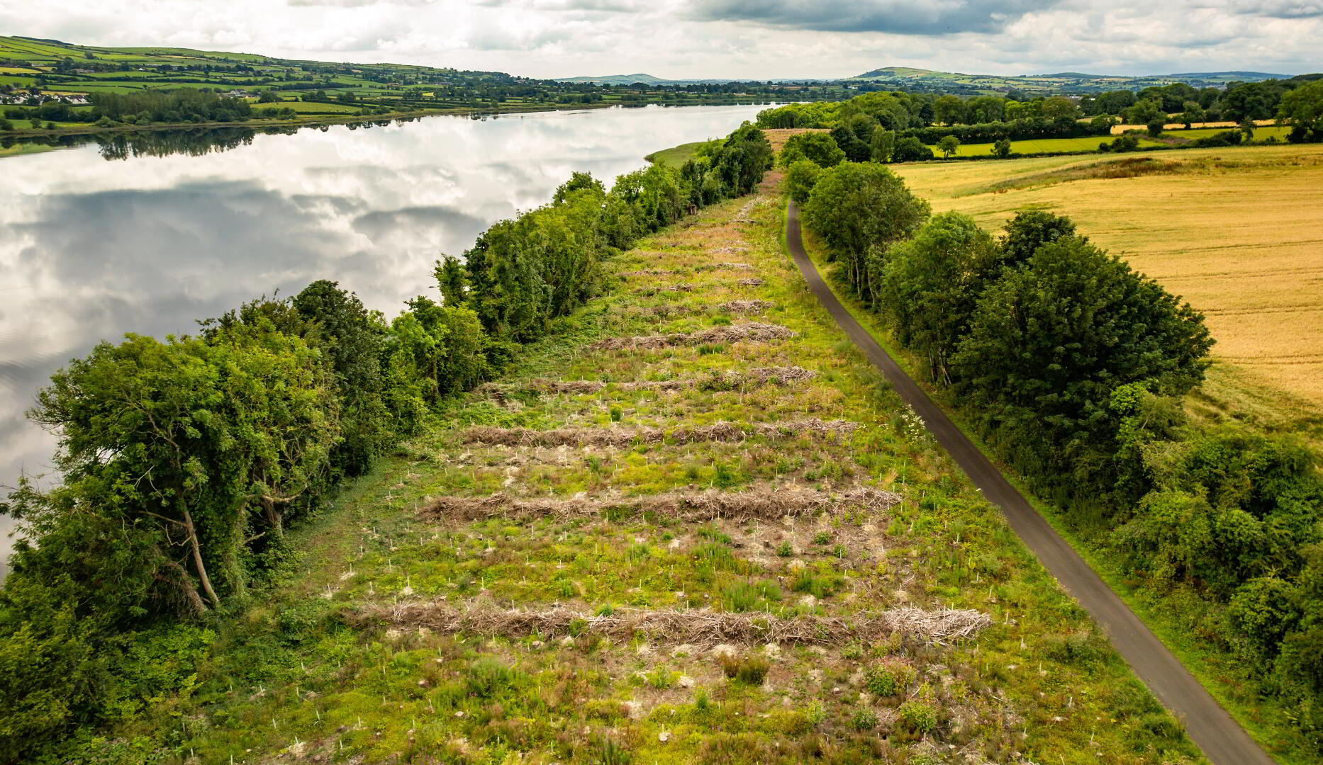 Lot 3: Land At Ballougry Road 5 of 9
