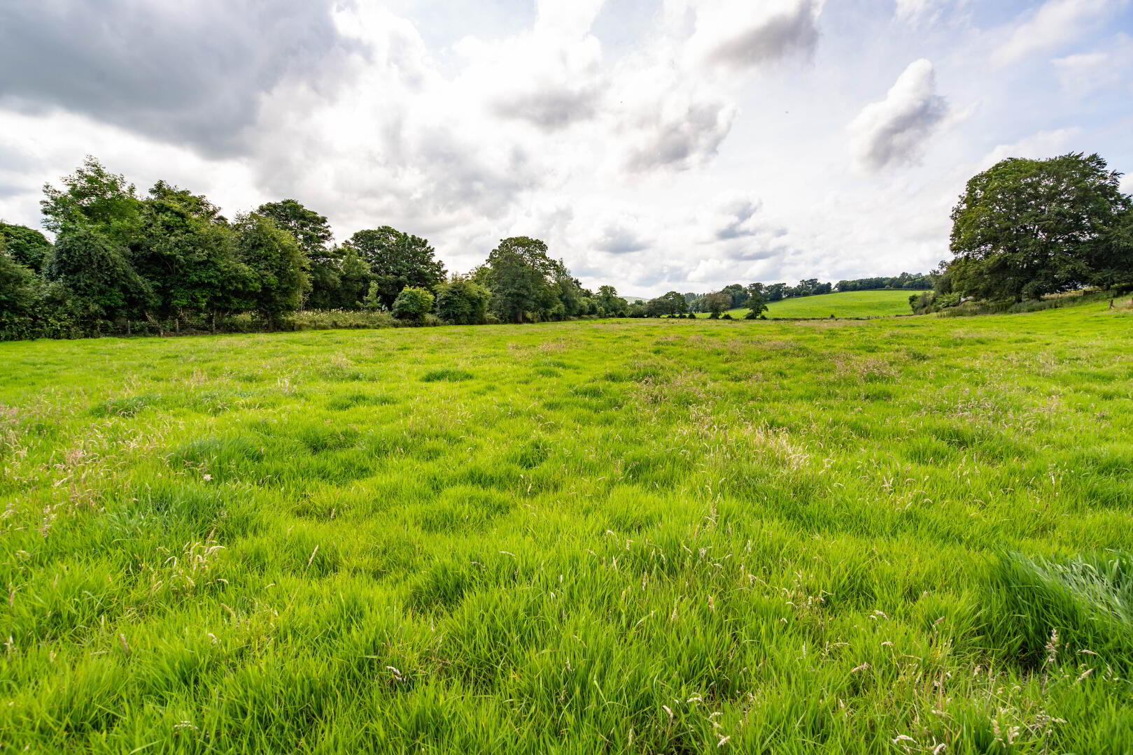 Lot 3: Land At Ballougry Road 8 of 9