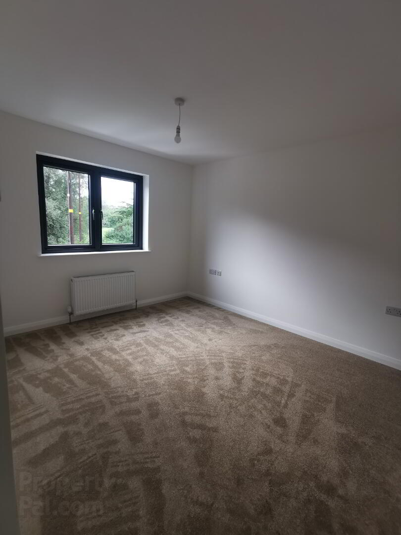 23 Tandragee Road 12 of 16