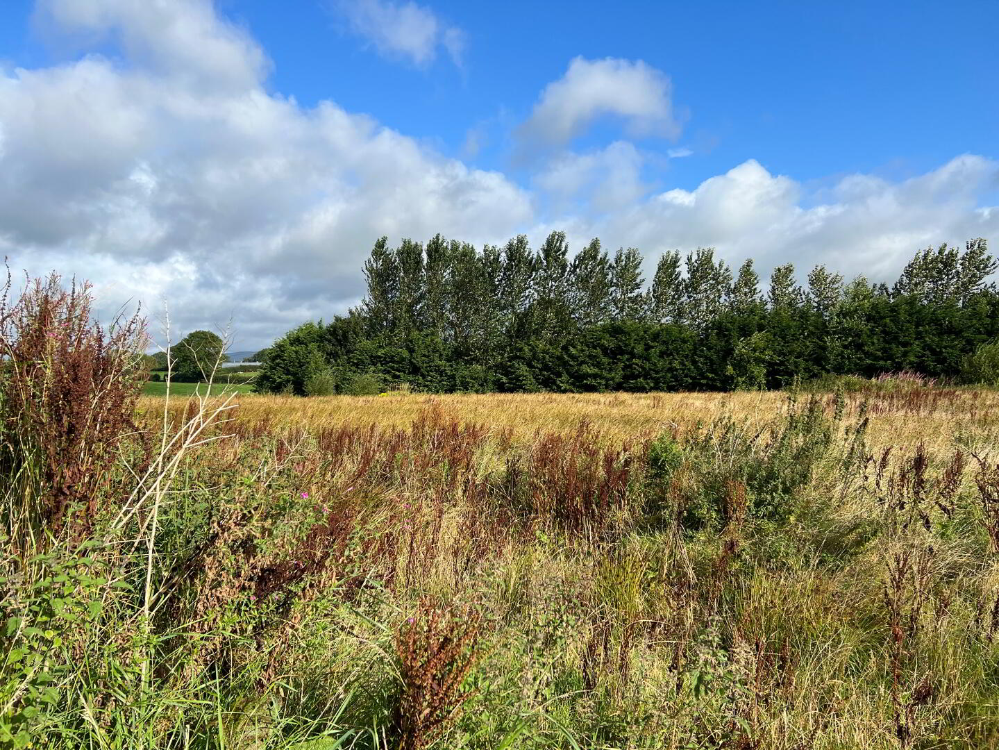 Commercial Yard, Kilcronagh Business Park