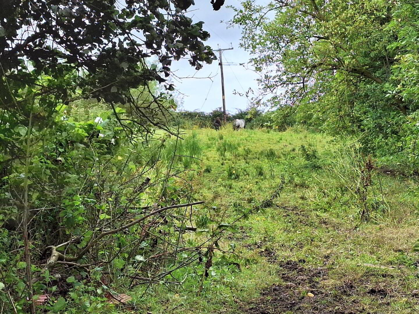 193 Glenshesk Road 17 of 25