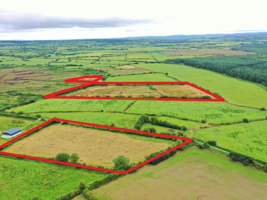 13.9 Acres At, Ballyegan