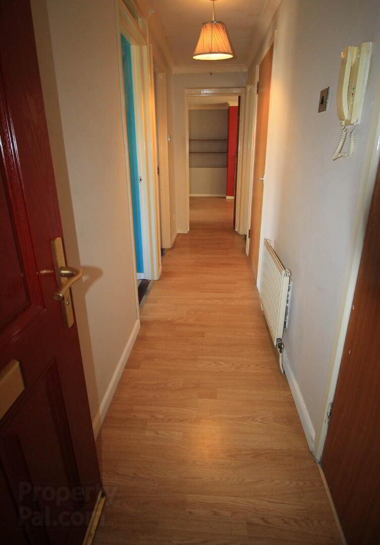 50b Westland Street 5 of 14