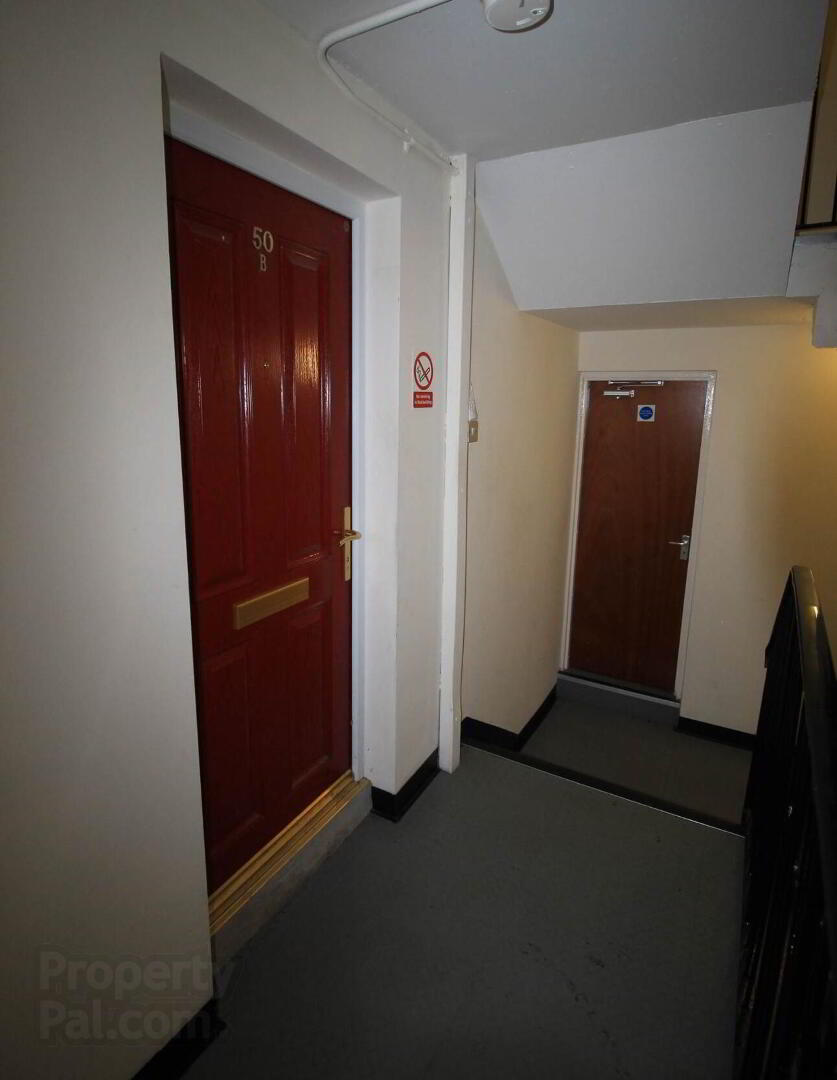 50b Westland Street 4 of 14