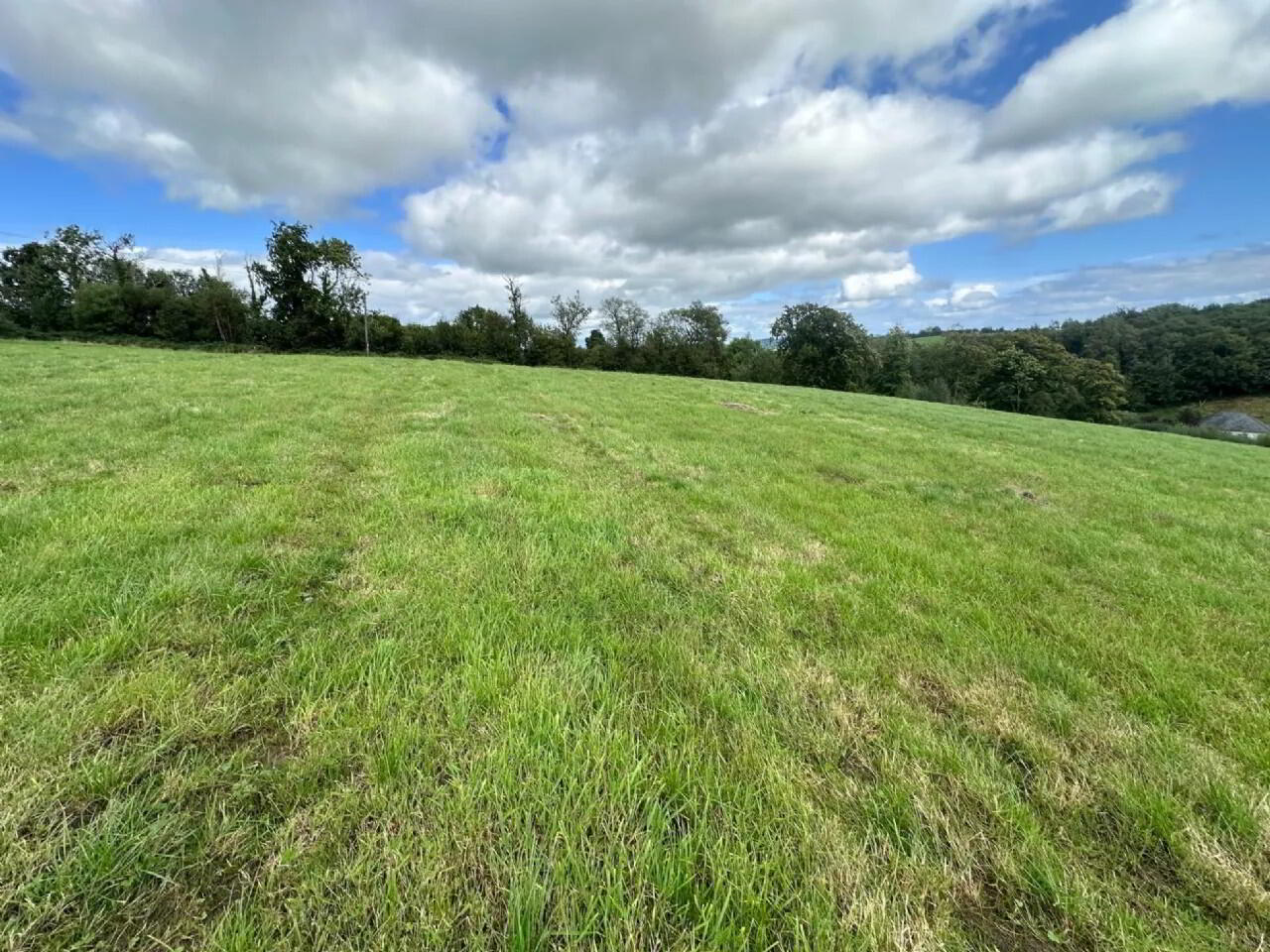 property description image