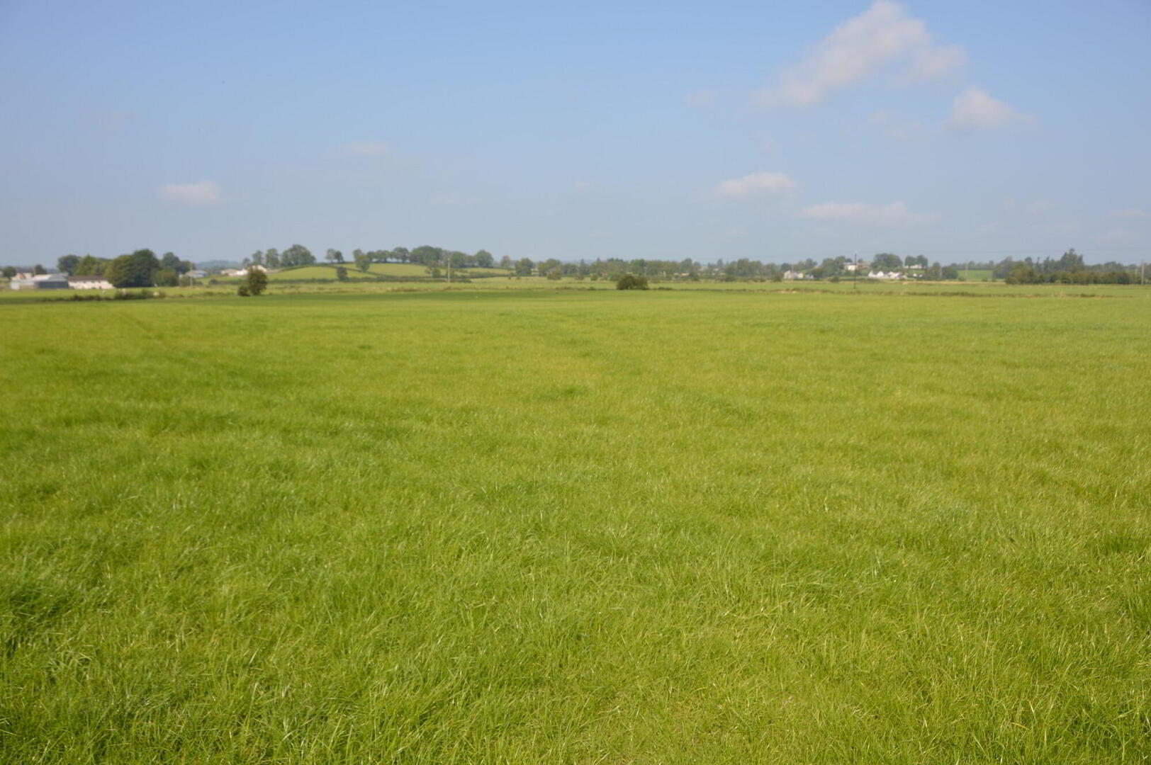 Straid Road 4 of 4