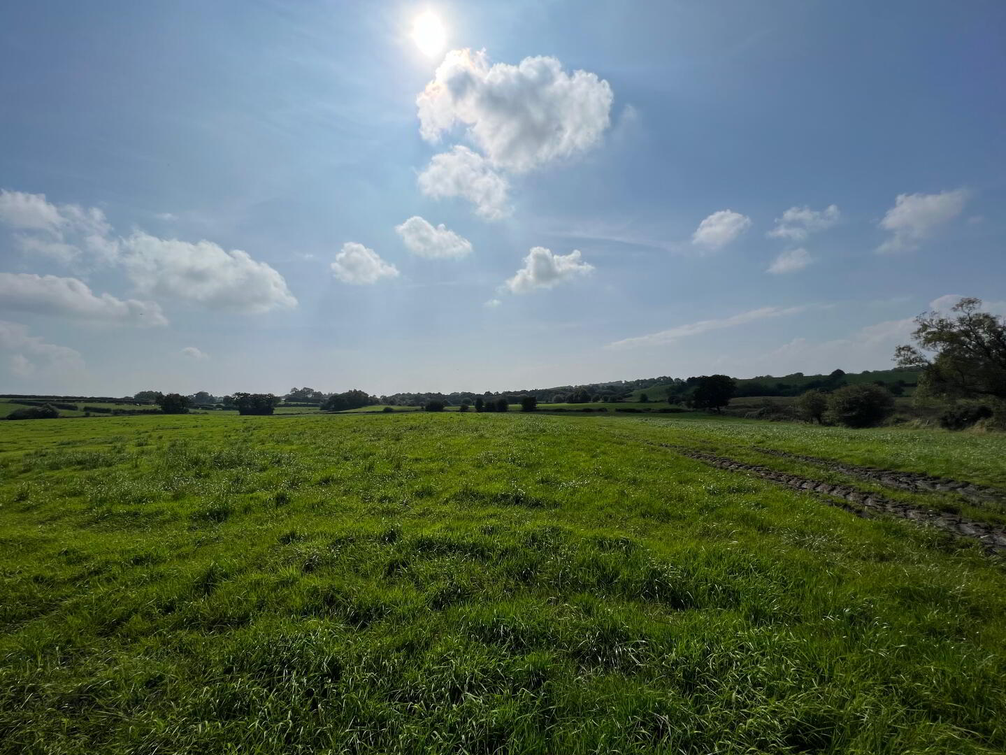 19 Acres Of Agricultural Land, Carnaman Road