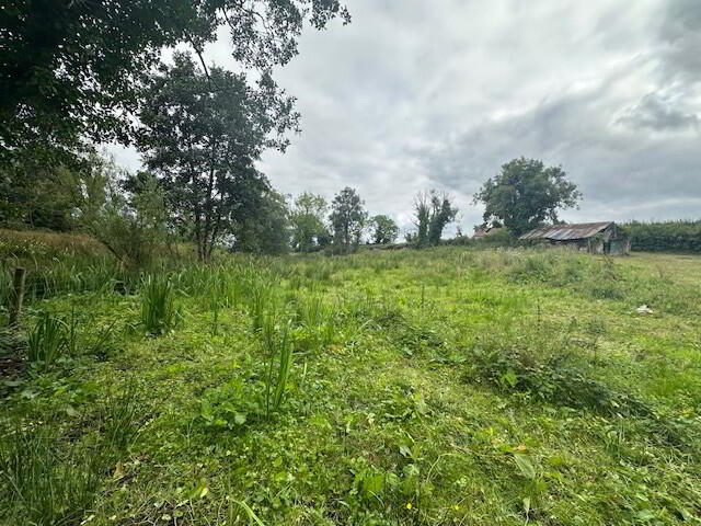 property description image
