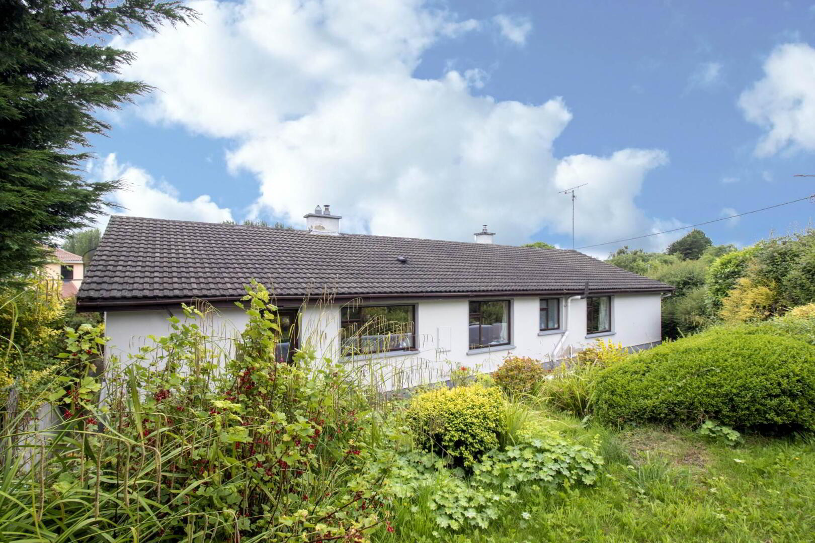 The Bungalow, Swellan 14 of 19