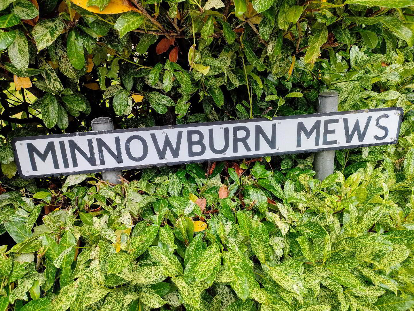 Minnowburn Mews