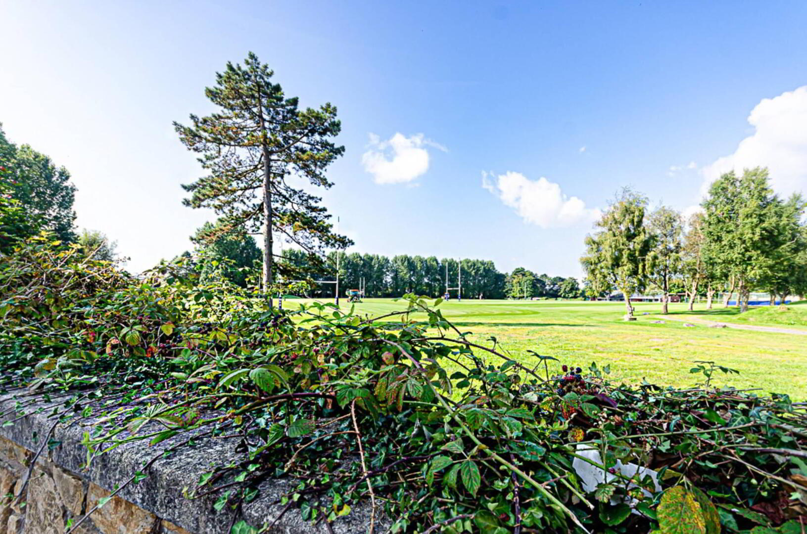 59 Onslow Gardens 39 of 47
