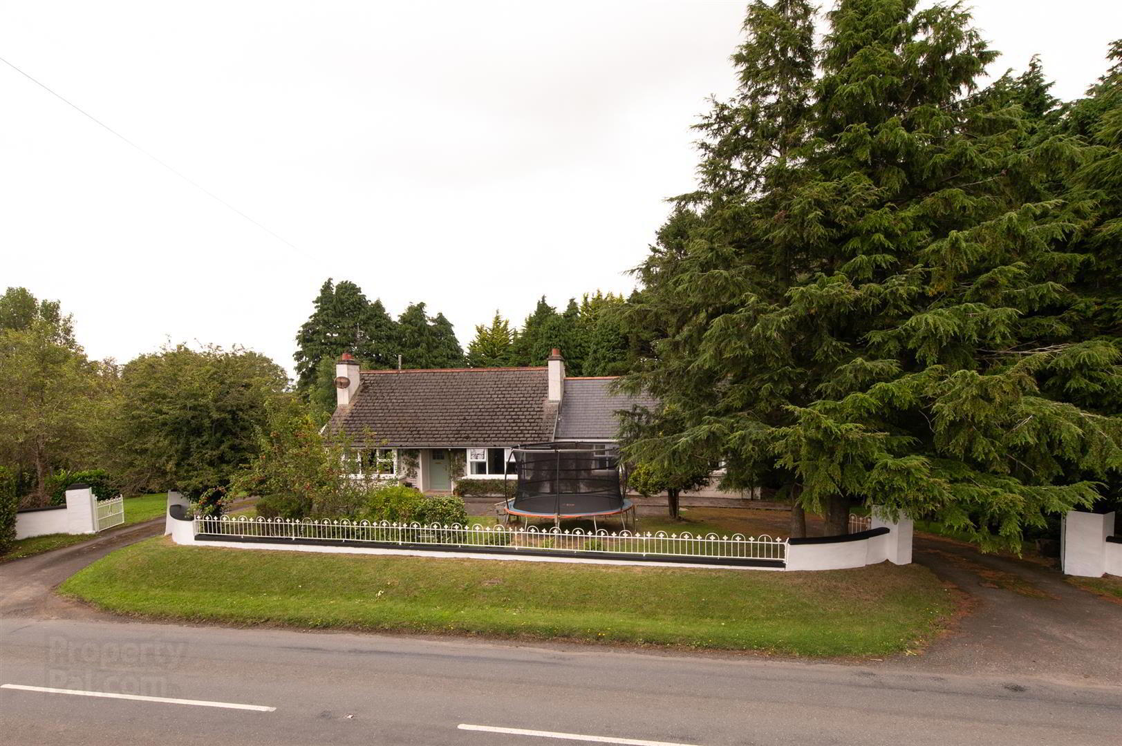 79 Dromore Road