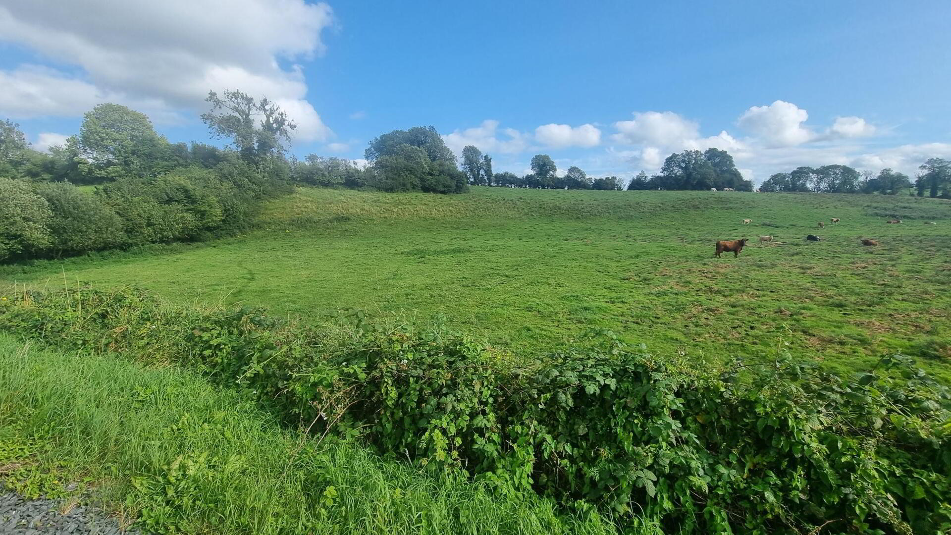 C.25 Acres At Clonlura Drummully 7 of 9