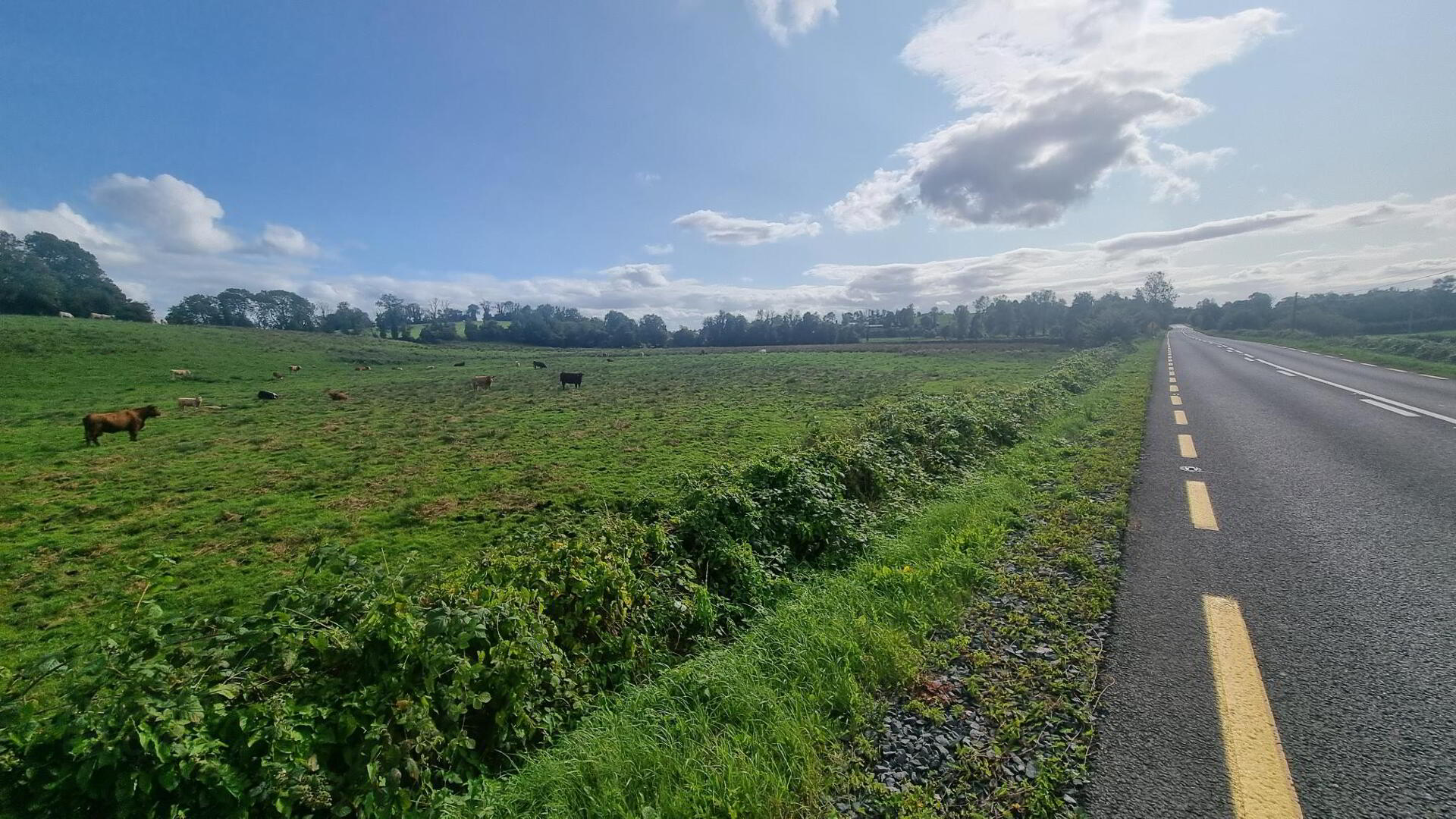 C.25 Acres At Clonlura Drummully 8 of 9