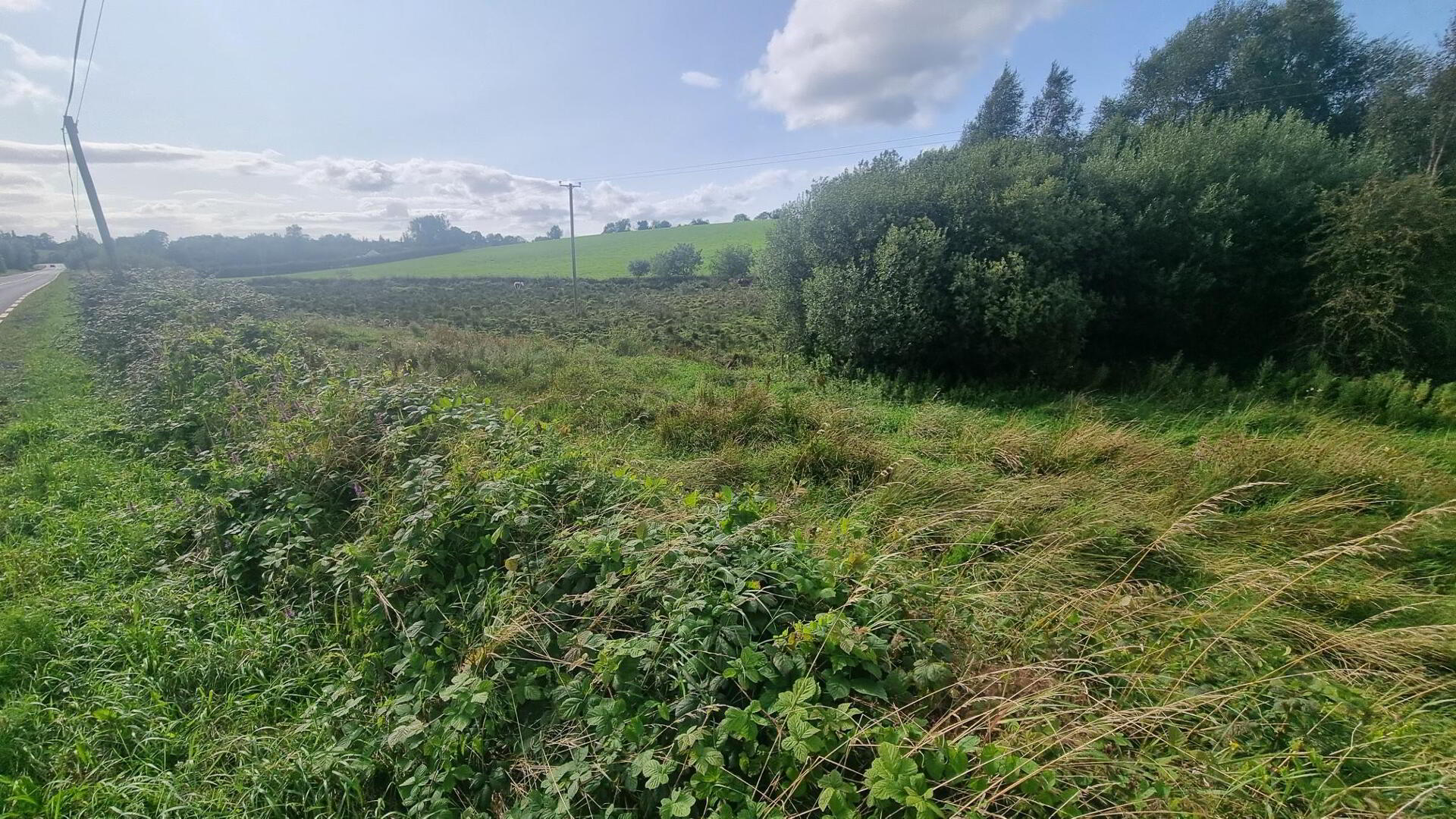 C.25 Acres At Clonlura Drummully 9 of 9