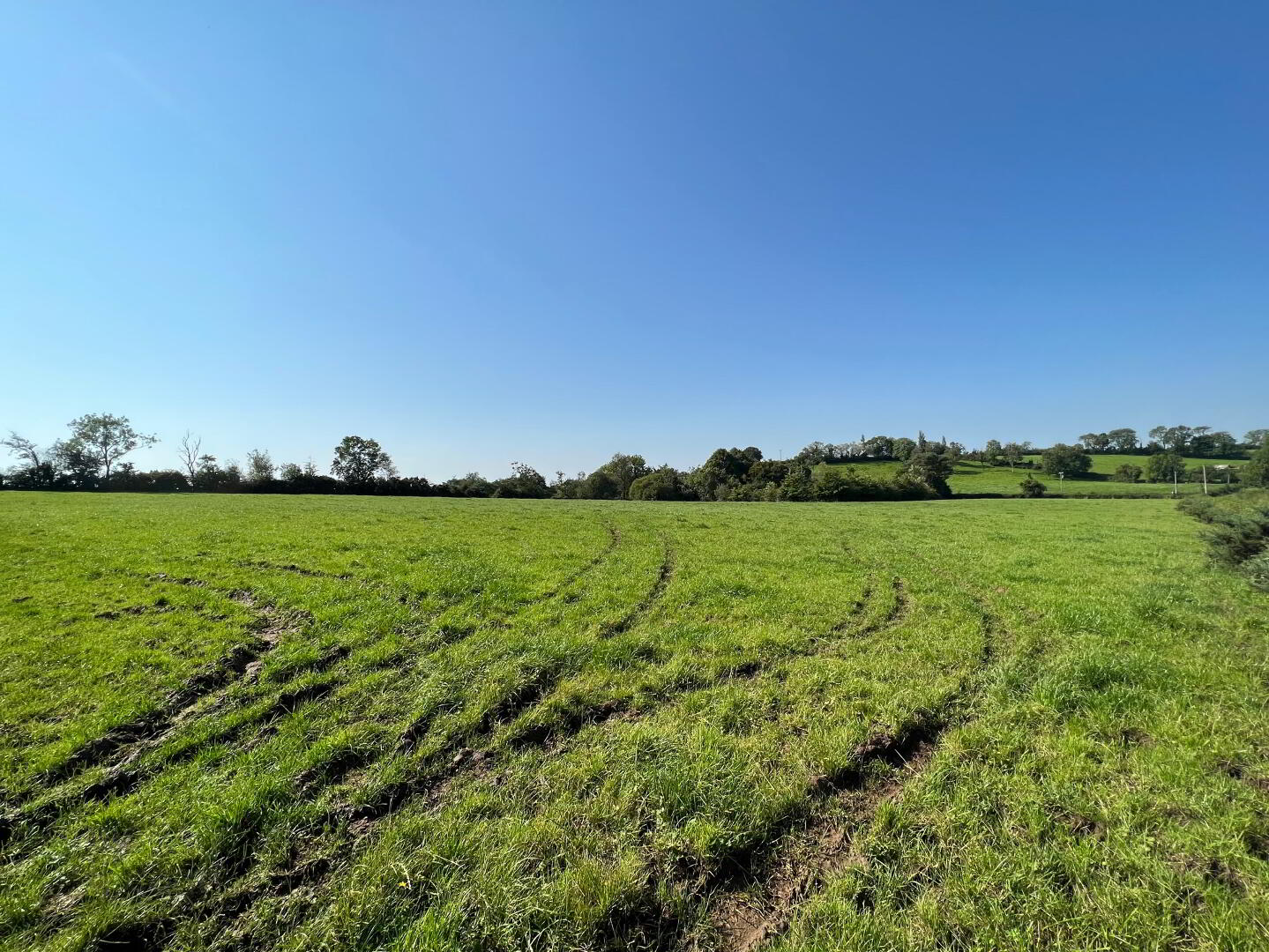 15 Acres Of Land, Rock Road/Ballygruby Road