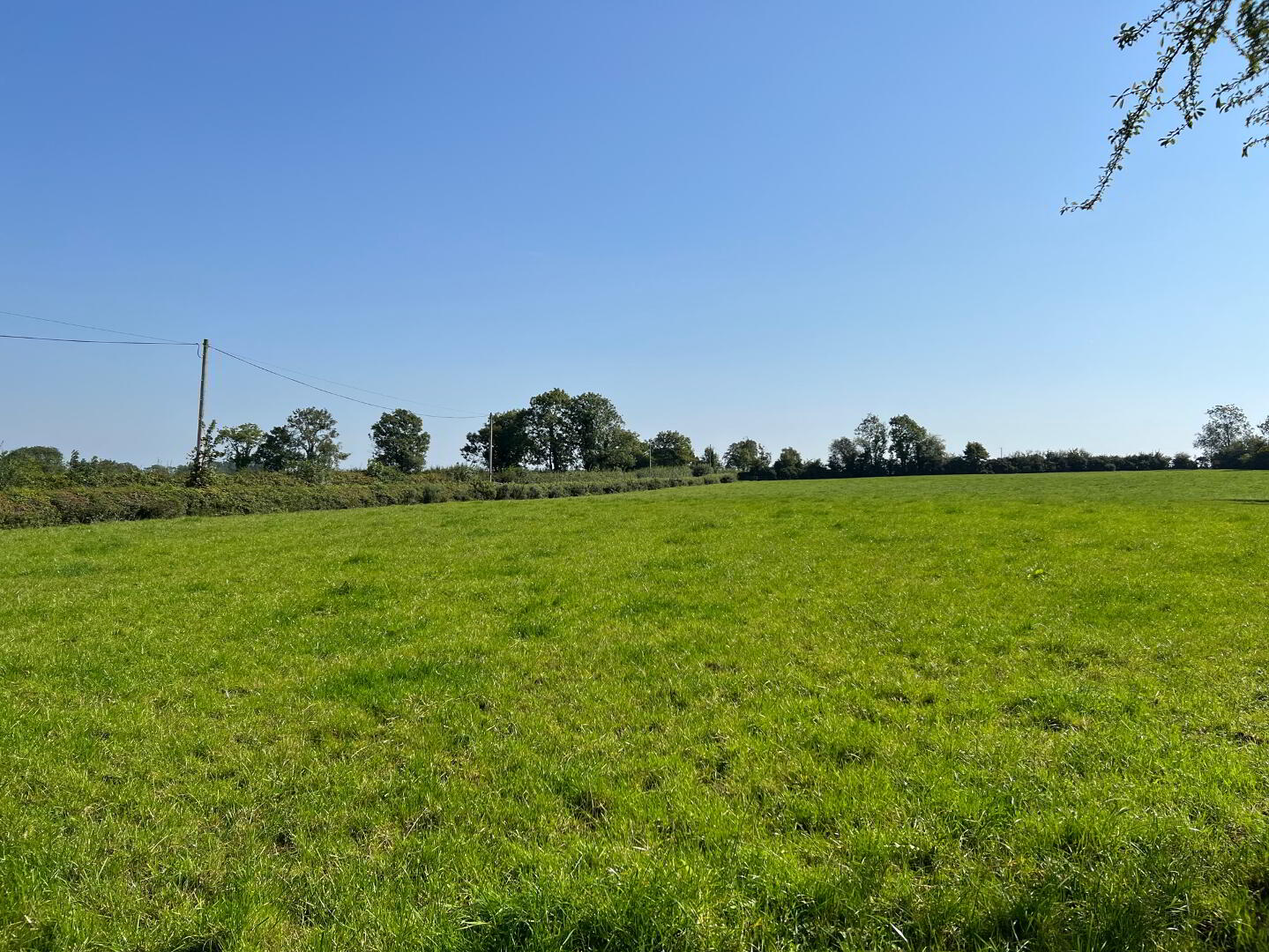 Approx 15 Acres Of Land, Rock Road/Ballygruby Road