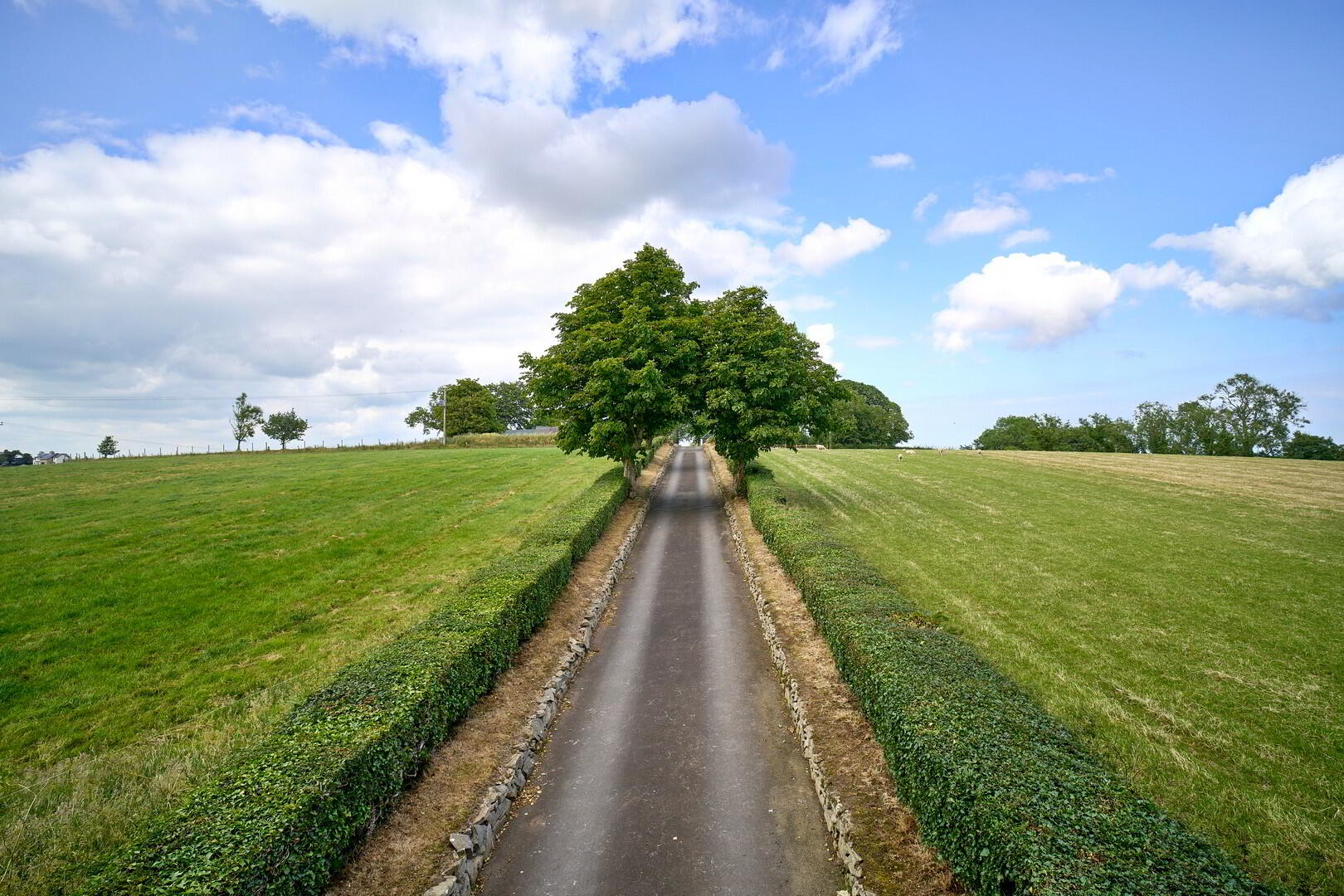 Stone Circle, 28 Ballynichol Road 4 of 21