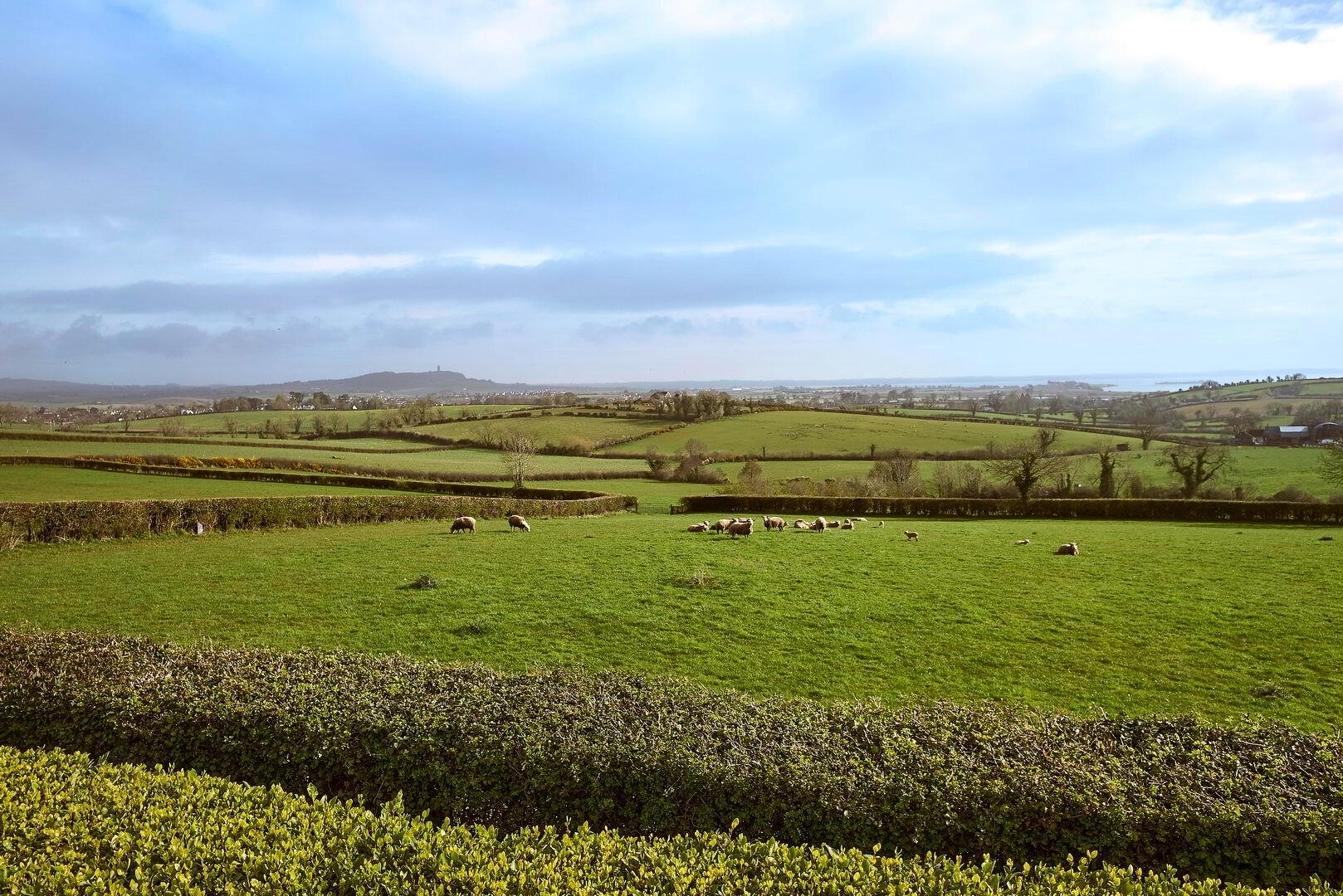 Stone Circle, 28 Ballynichol Road 16 of 21