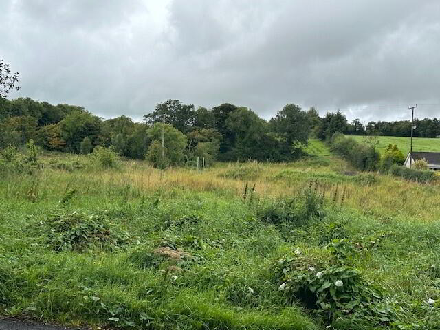 14m West Of 31, Slieveard Road 4 of 10
