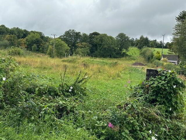 14m West Of 31, Slieveard Road 5 of 10