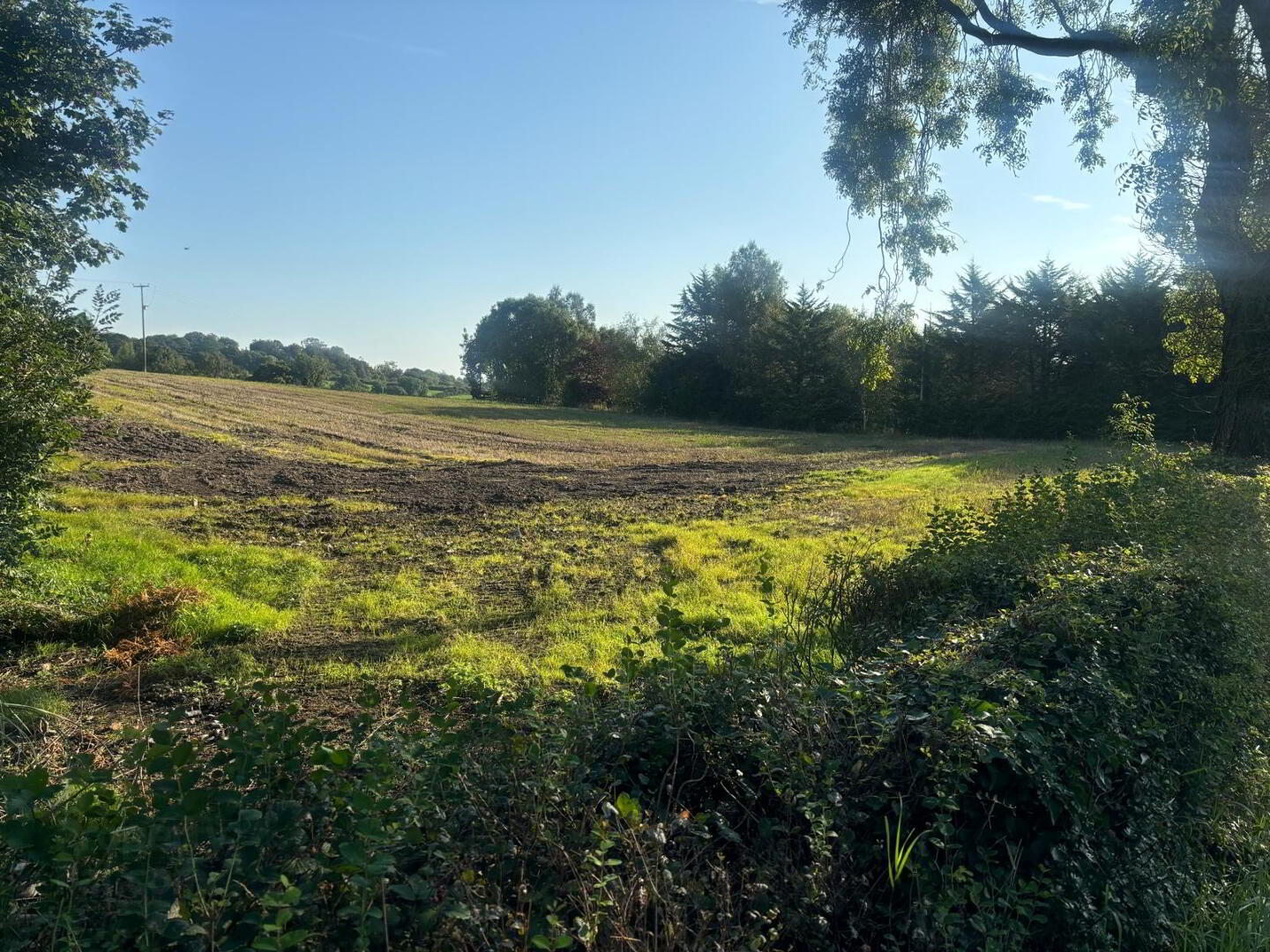 property description image