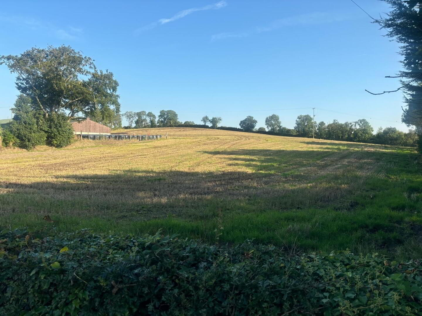 0.75 Acre Building Site With FPP, Waringsford Road 3 of 5
