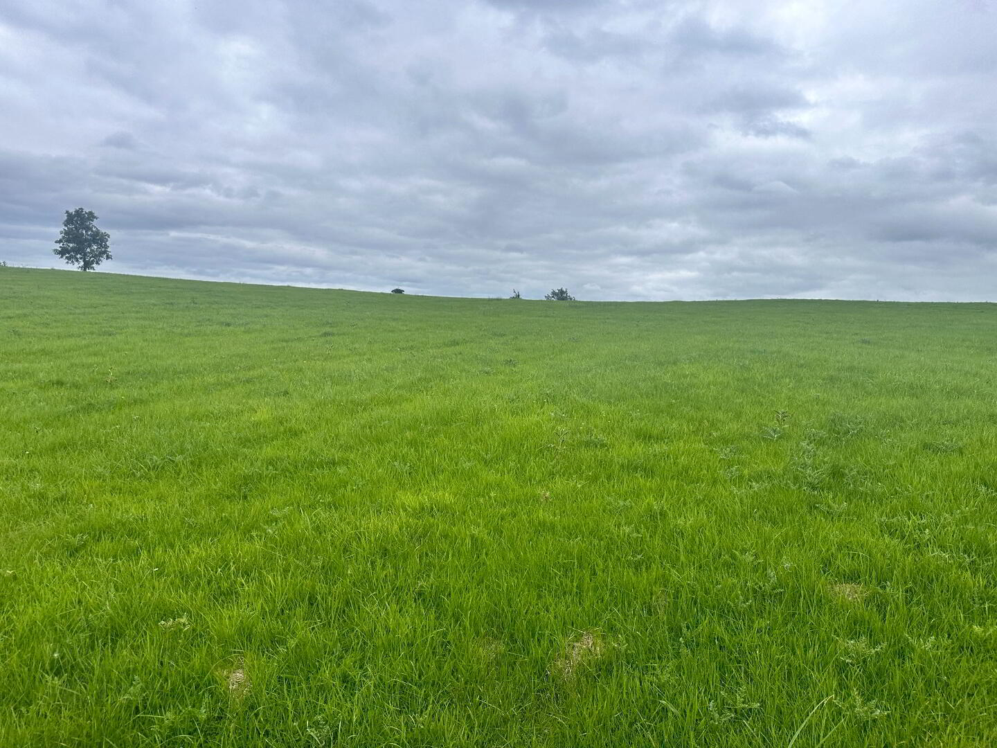 C.15.75 Acres At, Coraghy