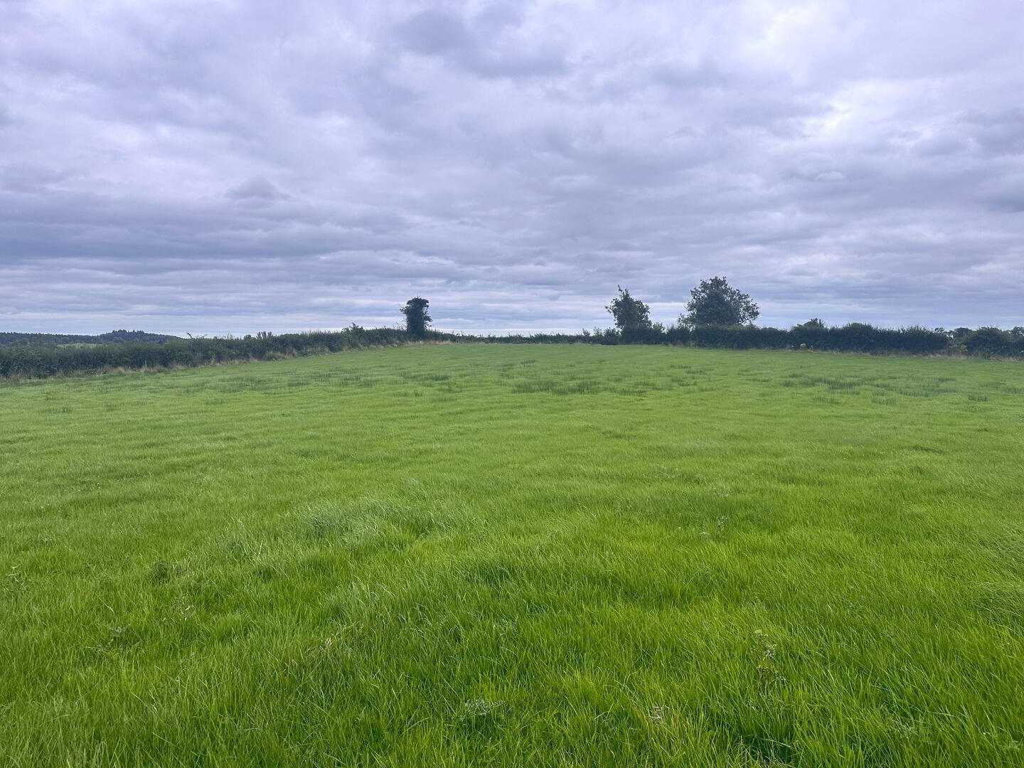 C.15.75 Acres At, Coraghy