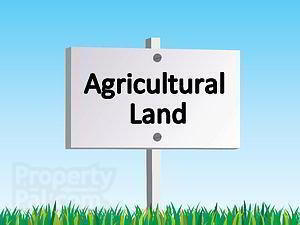 Agricultural Lands Adjacent To, 33 Cardy Road