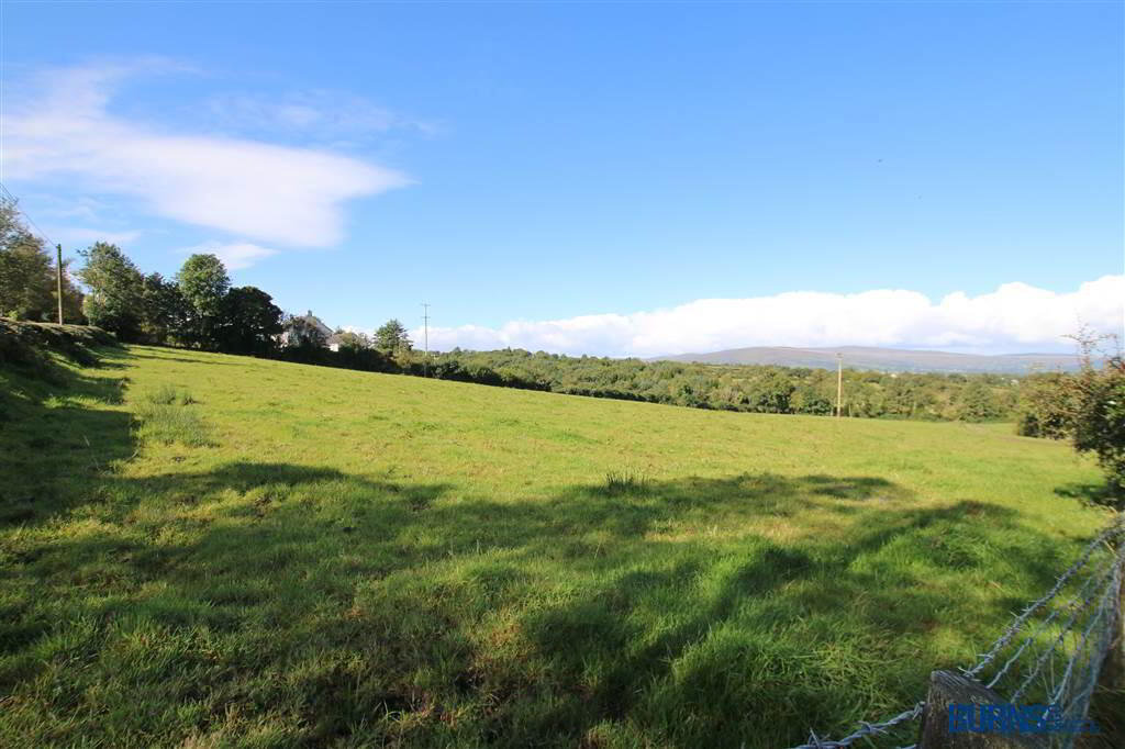 Lands Adjacent To, 41 Brackaghlislea Road