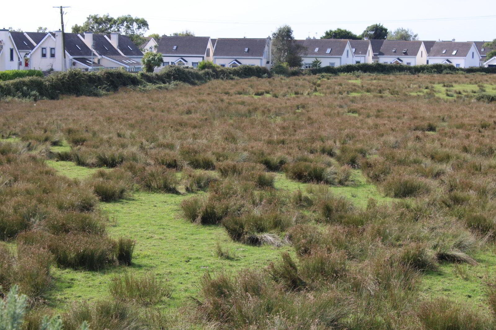 Grange Big, 14.9 Ac 1 of 2